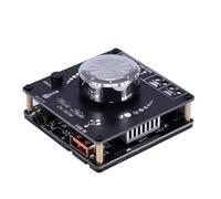 HOOCI 3116D2 2 * 100 W Bluetooth 5.0 Classe stereo Amplificatore di potenza audio digitale 3116 Scheda audio Mini musica (Color : 502M)