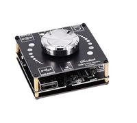 HOOCI TPA3116D2 2 * 100 W Bluetooth 5.0 Amplificatore di potenza audio stereo HiFi 30 W ~ 300 W TPA3116 Classe D USB Scheda audio musicale App AMP digitale (Color : AP100L)