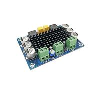 HOOCI TPA3116D2 Mono 100W HIFI Scheda amplificatore di potenza audio digitale TPA3116 DC 12-24V