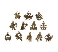 HOODANCOS Ciondoli Zodiacali Fai da Te 60 Pezzi per Braccialetti e Collane Segni Zodiacali Dimensione Pesci per Regali a Familiari e Amici Appassionati di Costellazioni