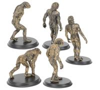 HOODANCOS Modelli Plastica Uomo Scimmia Evoluzione Umana Giocattoli Educativi per Apprendimento Cognitivo e Decorazione Table