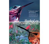 Hooked on Hummingbirds