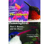 Hooked on Hummingbirds Part 2: Beauty...and the Beast