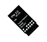 HOOLRZI Modulo di sicurezza 12Pin LPC TPM 2.0 per crittografia avanzata dei dati e gestione IT remota