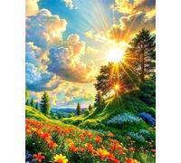 Hoonjiin Dipingere con i Numeri con Telaio per Adulti Principianti,Collina del sole DIY Paint by Numbers,Piante Kit di Pittura con numeri con 3 Pennelli e Vernice Acrilica per la Casa 60x90cm