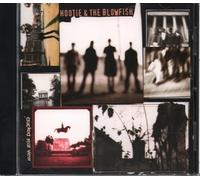 Hootie & The Blowfish - CRACKED REAR VIEW