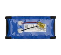Hoover B026 Batteria Aspirapolvere al Litio, 4000mAh, Ricaricabile, Nero, Batteria Originale, per Hoover HW5 Aspirapolvere