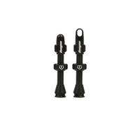 Hope Tubeless Valves 2 Units Argento 60 mm Black
