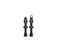 Hope Tubeless Valves 2 Units Argento 60 mm Black