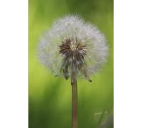 Hope for the Hurting Heart: Finding God's Truth in Life's Deepest Struggles: 1