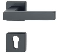 HOPPE 12248186 - Maniglia 52-57 AL3 Austin-auf Rosetta PZ, TS 52-57 mm, in allum