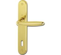 HOPPE 2857622 ROISSY - Maniglia a piastra lunga, distanza 90 mm, per porte di spessore 35-54 mm, in ottone lucido