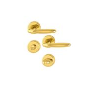 HOPPE 3066806 Maniglia Roissy con Rosette WC, in Ottone Lucido, Lucidato, cromata