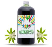 Hopser Food Fun Rainbow Slush Sciroppo AZO FREI | Bottiglia da 1 litro | Concentrato per Slushy Maker Gelati Macchine Slushy Gelatiere Gelatiere Bevande 1:5 fino a 1:20 (Forester)