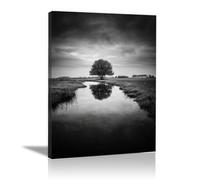 HOQIU quadri bianco e nero moderni, decoro parete Alberi vicino al ruscello della prateria La Casa Camera da Letto Soggiorno Bagno Cucina Ufficio.(bianco e nero)-30x40cm Incorniciato