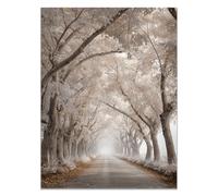 HOQIU Quadro Su Tela Pittura dell'albero sul ciglio della strada quadro su tela, bagno, soggiorno, decorazione da parete per camera da letto(bianco)-60x80cm Non incorniciato