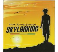 Horace Andy/Sizzla/Anthony B/Etc. - Skylarking Rhythm