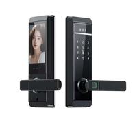Horett SERRATURA INTELLIGENTE TY Smart Lock Fingerprint Password Card Key Metodi di Sblocco WiFi Impermeabile Interno Esterno Sicurezza Nucleo 3050 per Porta Spessore 38-120mm Ufficio