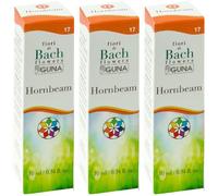 Hornbeam Guna Gocce 10 Ml 3x10 ml Gocce orali