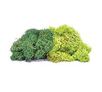 Hornby- Lichen-Large Green Mix Acessories-Kit Persone & Scala Automatica, Multicolore, R7195, 21 x 3 x 15 cm