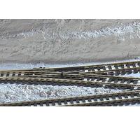 Hornby R7273 Modello