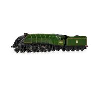 Hornby TT TT:120 Modellino Ferroviario TT3008M BR Classe A4 4-6-2 60016 'Silver King', Locomotive Epoca 4, Colore Verde, Taglia Unica