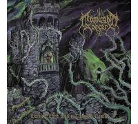 Horned Lord Of The Throned Castle – CD – Avantgarde