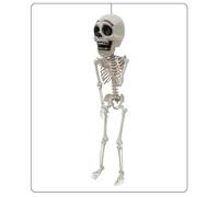 Horror Skeleton - Halloween Skeleton | Figurine with Posable Joints