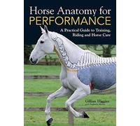 Horse Anatomy For Performance