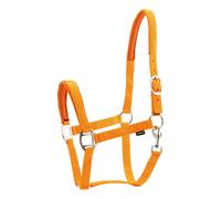 Horse Guard Cavezza Nylon per Cavalli - Arancione - Sangue Caldo Capestro