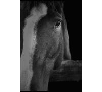 HORSE HEALTH CARE: Ultimate Guidelines for Beginners