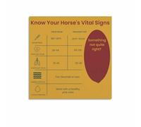 Horse Owner Veterinary Reference Chart Vital Signs Educational Wall Art Canvas Print for Equine Care Home Office Barn Stable Decor(Framed,16x24inch(40x60cm))