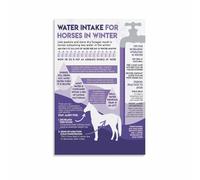 Horse Winter Water Intake Knowledge Poster for Equine Care and Hydration Guide(Framed,12x18inch(30x45cm))