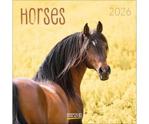 Horses 2026: Broschürenkalender mit Ferienterminen. Pferde und Ponys. 30 x 30 cm