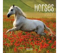 Horses 2027: Broschürenkalender mit Ferienterminen. Pferde und Ponys. 30 x 30 cm