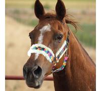 Horses Cavezza e Longhina Multicolor, Set Cavezza con Longhina per Cavallo, Regolabile, Morbida e Resistente, per Condurre a Mano Il Cavallo (COB, Multicolor)