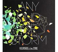 HORSES ON FIRE - ANY KIND OF STORM