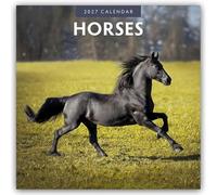 Horses - Pferde 2027 - 16-Monatskalender: Original Red Robin Publishing Ltd-Kalender [Mehrsprachig] [Kalender]