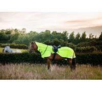 Horseware Ireland Amigo® Flyrider, Flouresce - L