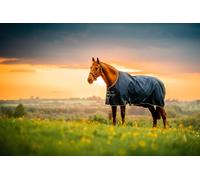 Horseware Ireland Amigo Ripstop 900D Fleece Lined Turnout 50g Witney Navy - 160 cm