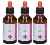 Horti Celati Ribes Nigrum 3x100 ml Soluzione orale