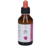 Horti Celati Ribes Nigrum 4x100 ml Soluzione orale
