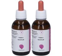 Horti Celati Ribes Nigum Gocce 2x50 ml