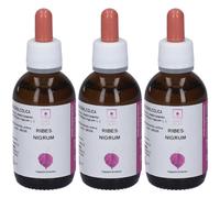 Horti Celati Ribes Nigum Gocce 3x50 ml