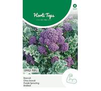Hortitops 12237 Broccoli Summer Purple (semi di broccoli)