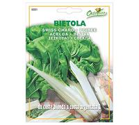 Hortus 16BIE0321 Maxi Busta Ortovivo Bietola da Coste Bionda Argentata 2