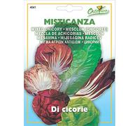 Hortus 39MST4041 Maxi Busta Ortovivo Misticanza di Cicorie da Campo, 12x0.2x16.5 cm