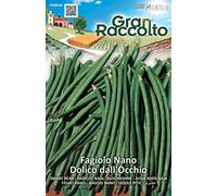 Hortus 57FAG853A Gran Raccolto Dolico dall'Occhio Fagiolo, Nano, Peso Variabile, 13x0.4x20 cm