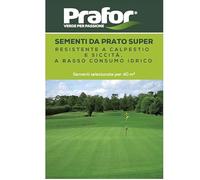 HORTUS Sementi prato super kg.1 prafor