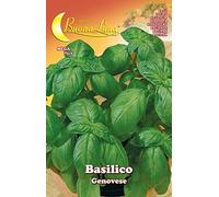 HORTUS SEMENTI SEMI ORTO BASILICO GENOVESE 10 PZ